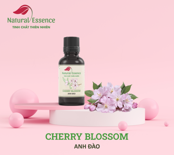 Cherry-Blossom-essential-oil-tinh-dau-hoa-anh-dao-natural-essence-tinh-chat-thien-nhien
