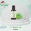 CitronellaL-essential-oil-tinh-dau-sa-java-natural-essence-tinh-chat-thien-nhien