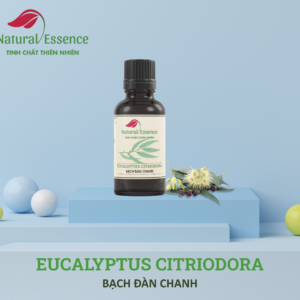 Eucalyptus-Citriodora-essential-oil-tinh-dau-bach-dan-chanh-natural-essence-tinh-chat-thien-nhien