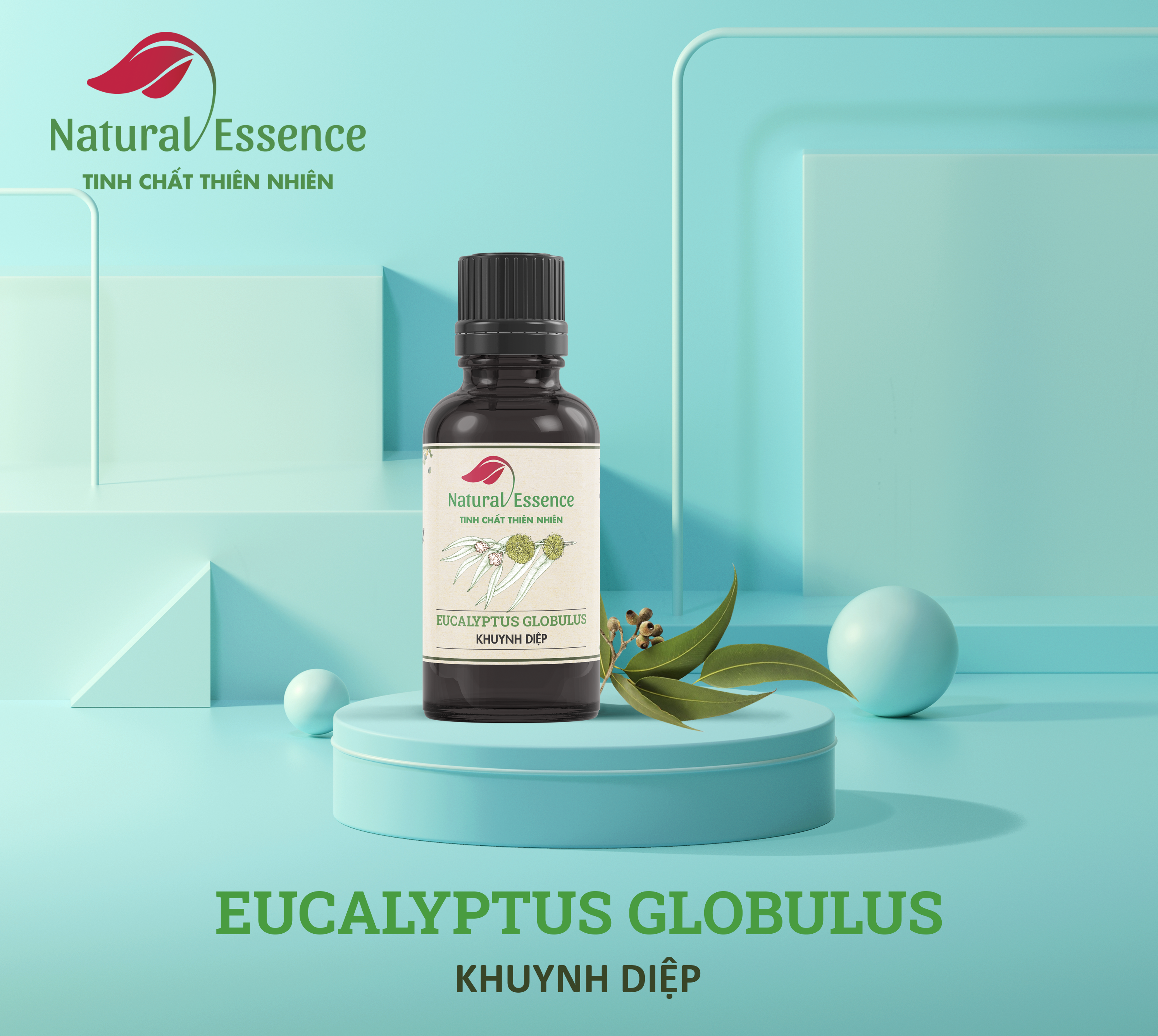 Eucalyptus-Globulus-essential-oil-tinh-dau-khuynh-diep-natural-essence-tinh-chat-thien-nhien