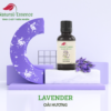 Lavender-essential-oil-tinh-dau-oai-huong-natural-essence-tinh-chat-thien-nhien