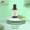 Tea-Tree-essential-oil-tinh-dau-tram-tra-natural-essence-tinh-chat-thien-nhien