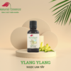 Ylang-Ylang-essential-oil-tinh-dau-ngoc-lan-tay-natural-essence-tinh-chat-thien-nhien